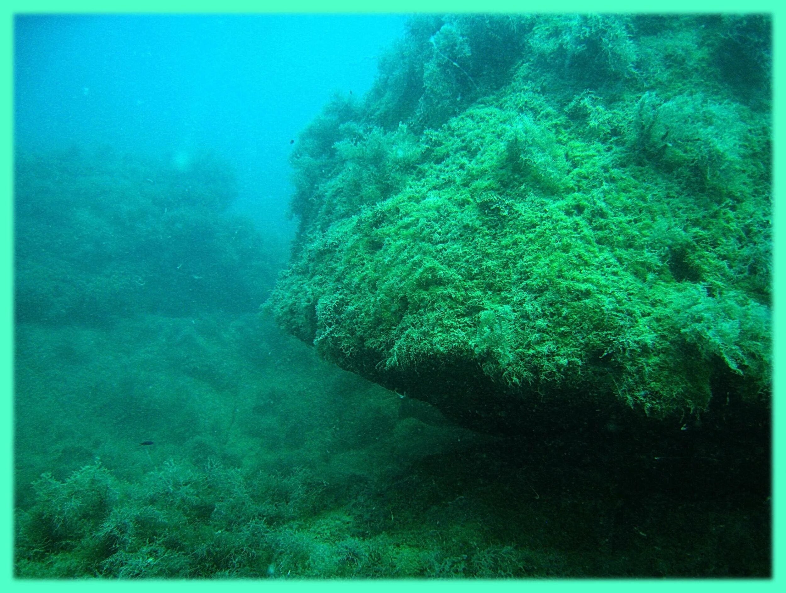 камни на дне моря. подводный камень в подводном деле. морское дно камни. подводный камень в подводном деле. дно океана.