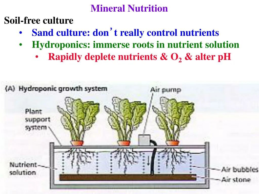 Nutrients перевод. Nutrient Soil. Minerals in Soils. Plants nutrients. Nutrients in Soil.