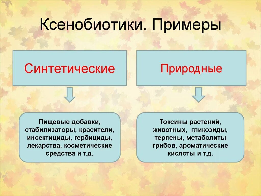Превращение ксенобиотиков в организме человека. Виды ксенобиотиков. Природные ксенобиотики. Ксенобиотики. Ксенобиотики биологического происхождения.