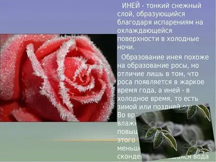 Иней на какой вопрос отвечает