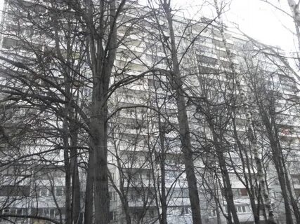 Москва ул веерная д 7