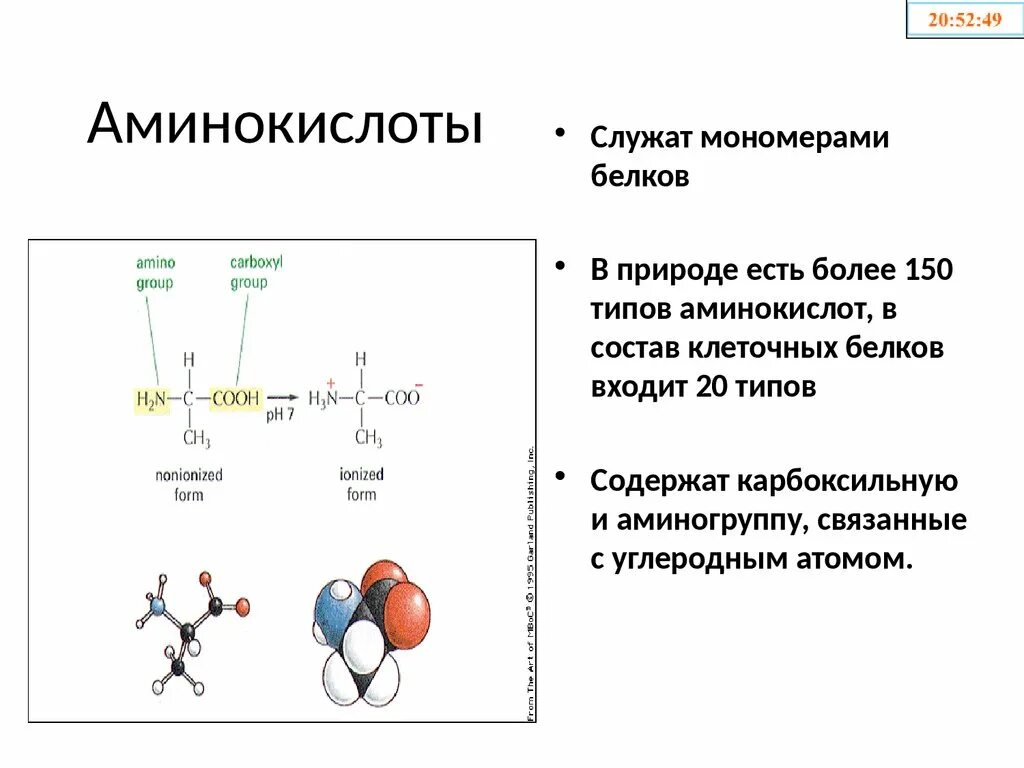 Тест аминокислоты белки. Белки аминокислоты. Состав аминокислот. Аминокислоты состоят из. Молекулярный состав аминокислоты.