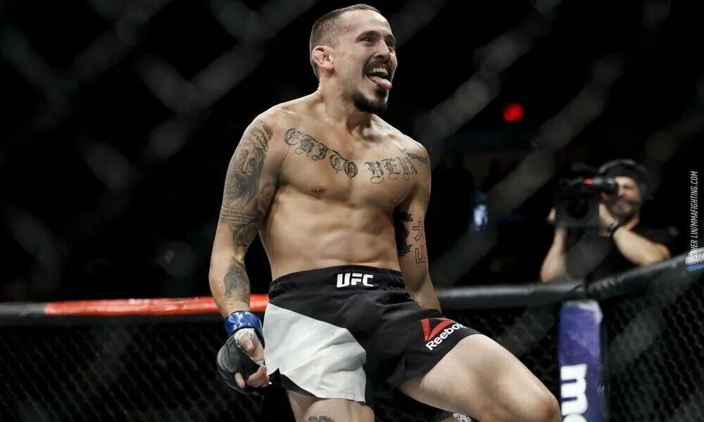 Marlon Vera.