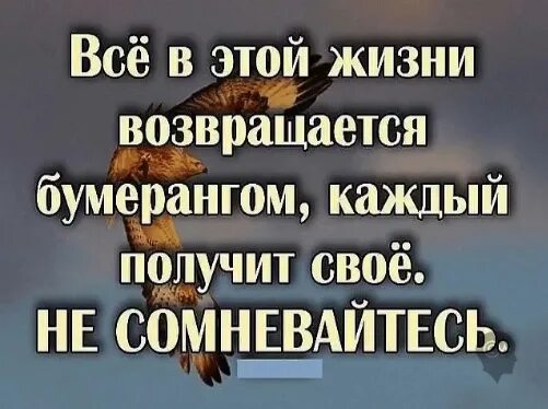 Слезам все вернется. В жизни всё возвращается бумерангом. Афоризмы про Бумеранг в жизни. Жизнь Бумеранг цитаты. Статусы про Бумеранг в жизни.