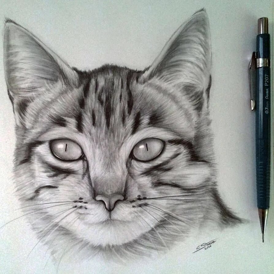 Рисуем профессионально карандашом. Кошка карандашом. кошка реалистичная карандашом. нарисовать кошку карандашом. порисовать кошки карандашами.