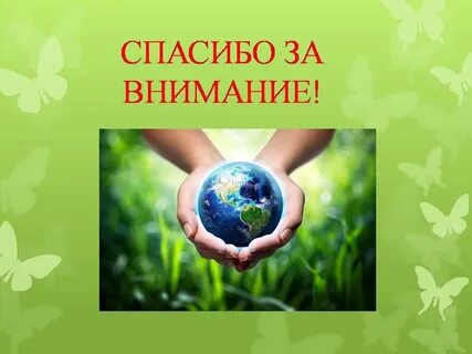 Внимание экология