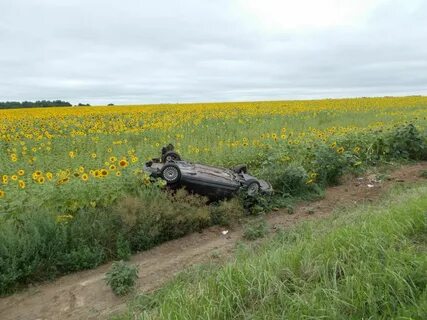 Погода в троицке курского область