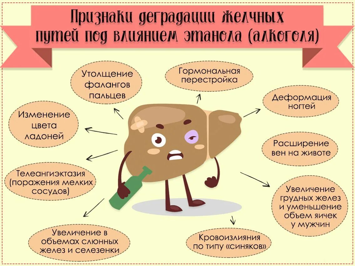 Пиво после удаления желчного. Через сколько можно пить алкоголь после удаления желчного пузыря. Удаление желчного пузыря последствия. Алкоголь и желчный пузырь. После удаления желчного пузыря через сколько можно пить пиво.