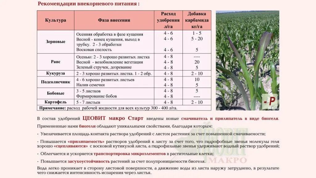 Какие удобрения по листу