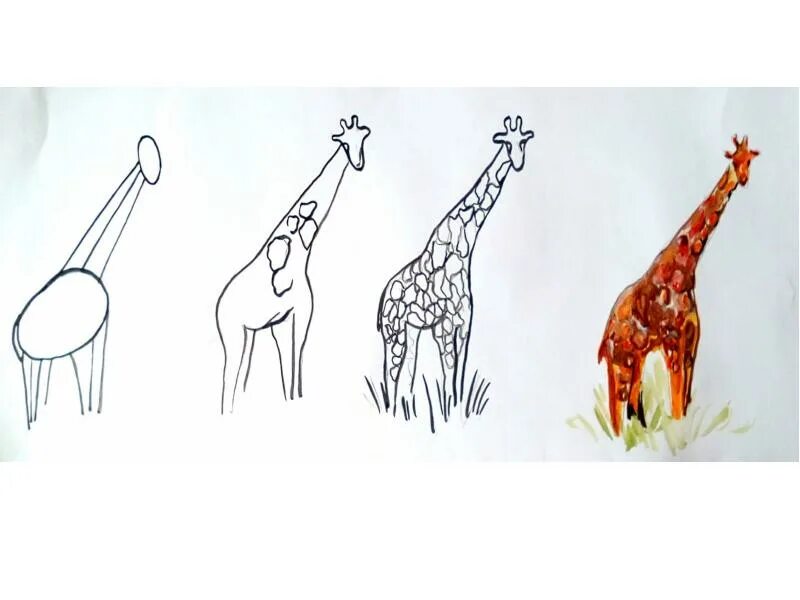 Жираф поэтапно для детей. Рисование жирафа. Рисование Жираф старшая группа. Поэтапное рисование жирафа для дошкольников. Уроки рисования для детей Жираф.