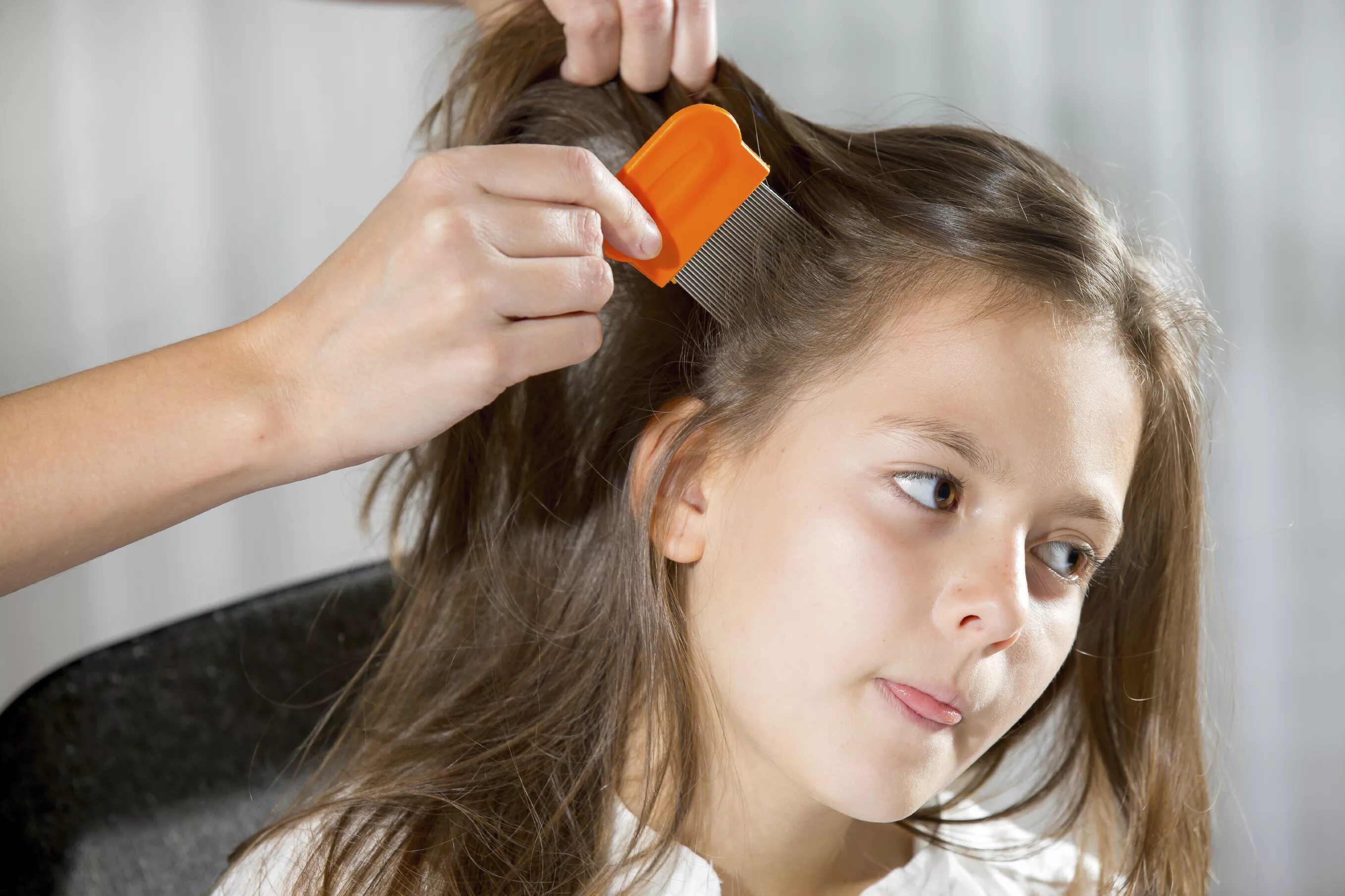 Дети причесаны. Расчесывание волос для детей. Прическа от гнид для детей. Гребень для расчесывания волос.