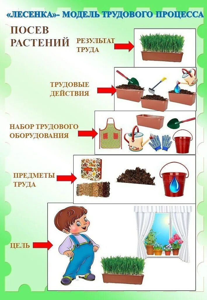 Алгоритмы ухода. Алгоритм ухода за комнатными цветами для детей. алгоритм ухаживания за растениями в детском саду. лесенка модель трудового процесса посев растений. технологическая карта ухода за растениями для дошкольников.
