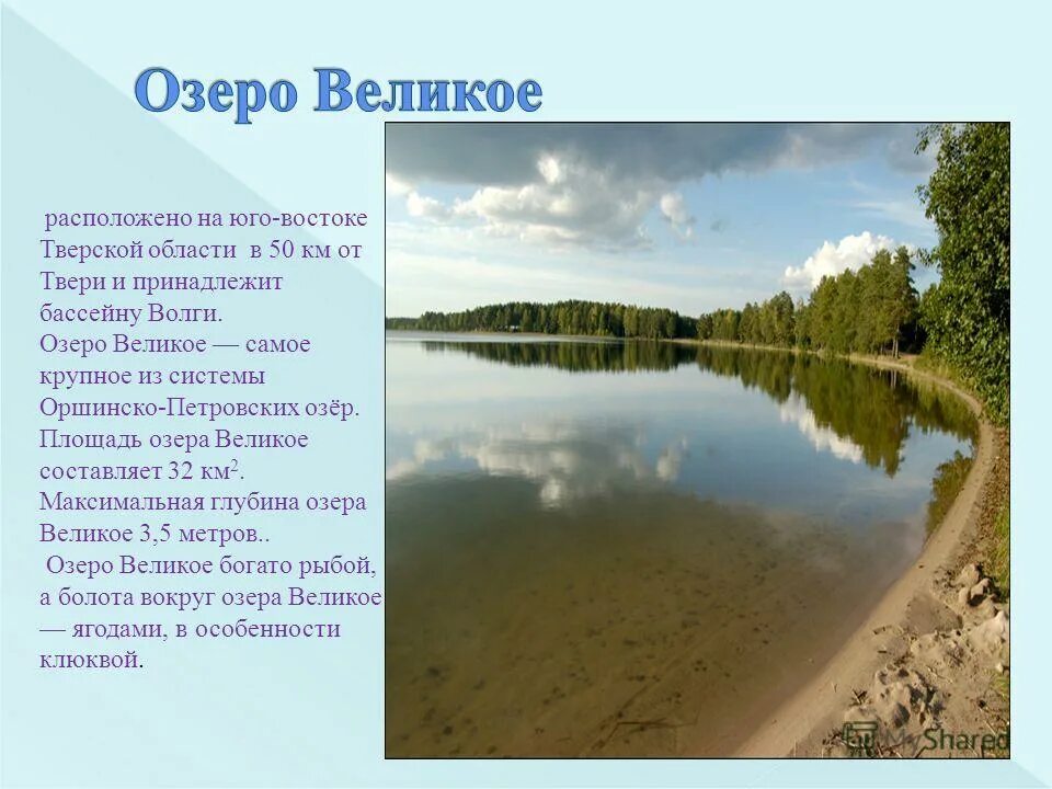 Озеро есть окончание. Озеро великое Тверь. Оз великое в Тверской области. Тверская обл озеро великое. Самое крупное озеро Тверской обл.