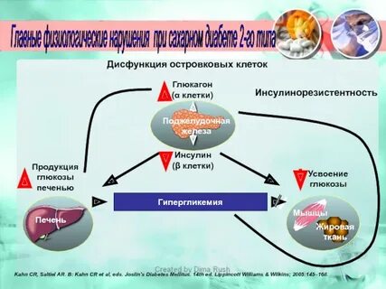Инсулинорезистентность повышена у женщин