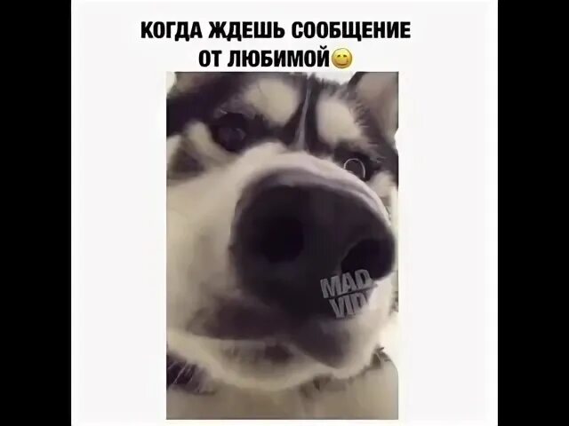 Ожидаем информацию