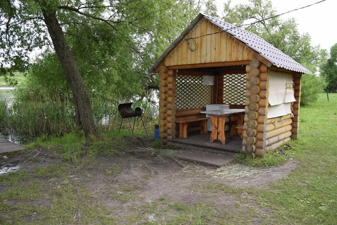 Рыбалка на карпа. Макаровский пруд саранск. Пруд крещенка липецкая. Пруд крещенка липецкая. Крещенка пруд.