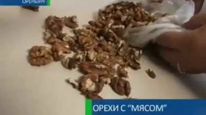 Червяки в орехах. Внутри грецкого ореха личинки. Плодожил ореховый личинка. Личинки моли в грецких орехах. 7 nuts грецкий орех.