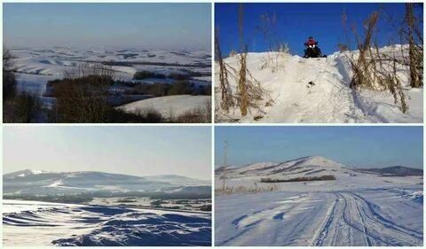 Прогноз с красногорское алтайский