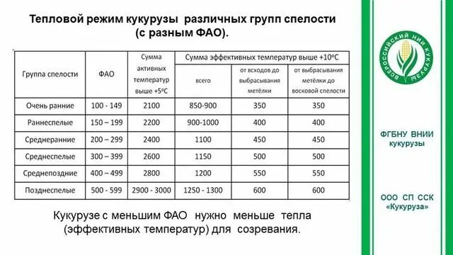 Фао кукурузы. Фао кукурузы таблица. фао кукурузы расшифровка. фау у кукурузы что значит.