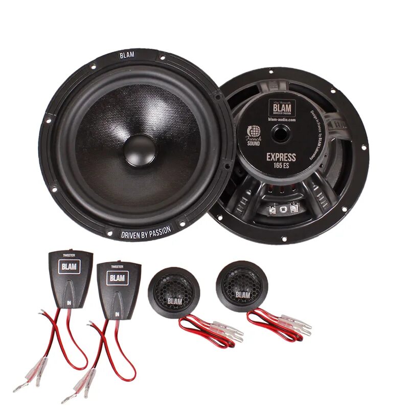 Blam w165es. Blam express 165 es. blam 165 es акустическая система. мидбас blam w165 es. blam w165es 65.