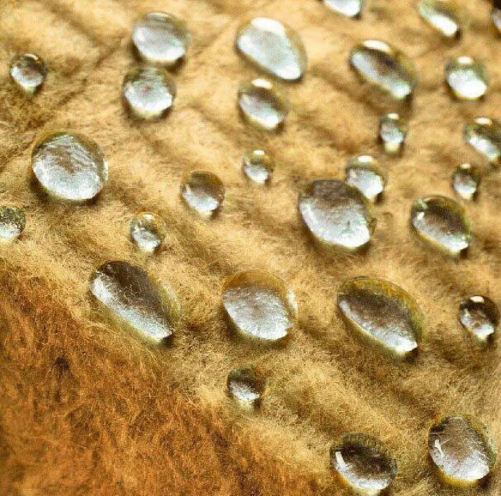 099. Поглотитель влаги. Поглотитель влаги 5. Базальтовая вата гидрофобность. Удалитель влаги из бензобака bbf артикул.