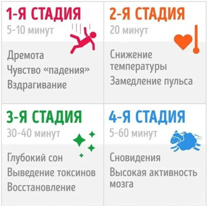 Пульс ночью. Пульс во сне. пульс человека во сне. пульс во сне у взрослого человека. пульс во время сна.