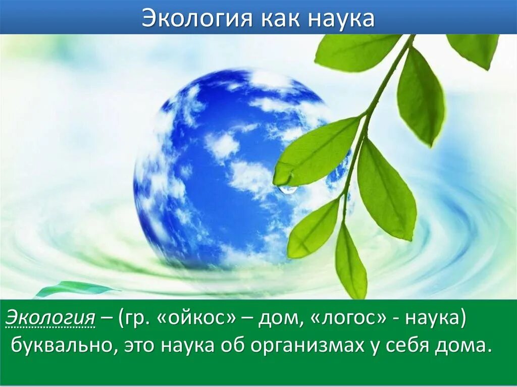 Экология презентация. Экология это наука. Презентация на тему экология. Экология Ойкос Логос. Что называют окружающей средой