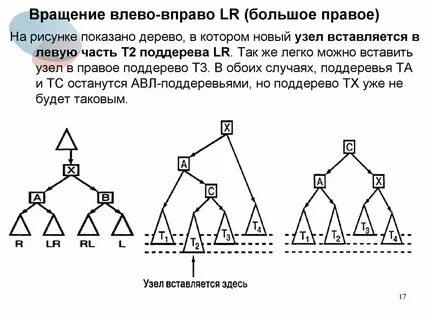 На рисунке показано дерево