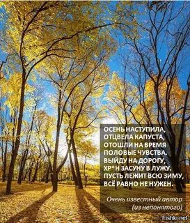 Стих наступила осень стали дни короче