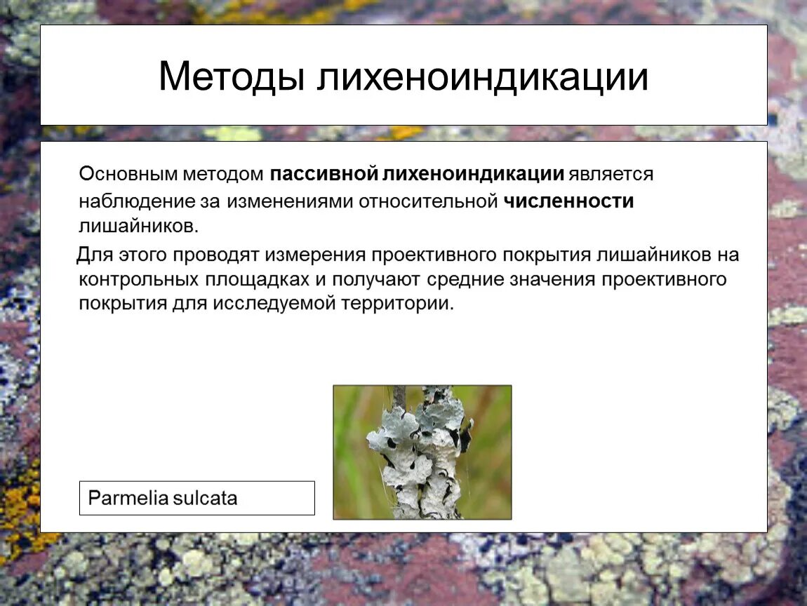 К пассивным относятся методы. Методы лихеноиндикации. Оценка загрязнения воздуха методом лихеноиндикации. Лихеноиндикация лишайники. Метод линейных пересечений в лихеноиндикации.