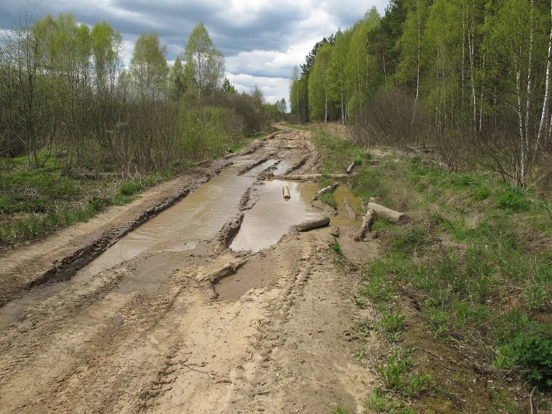 Автомобильные дороги в болотистых местах. Дорога в топи. Дорога в болотистой местности. Дорога в топи. Мост через болото.