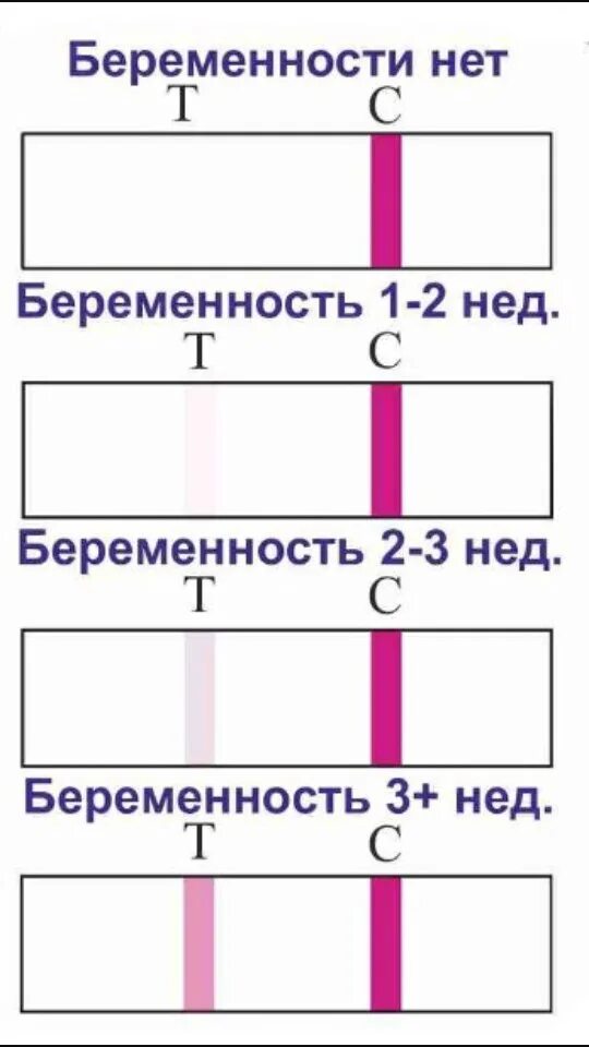 На какой неделе тест показывает беременность 2. Тесты на беременность на ранних сроках. Тест-полоски на беременность на ранних сроках. Как должен показать тест на беременность на ранних сроках. На каких сроках тест показывает беременность на ранних сроках.