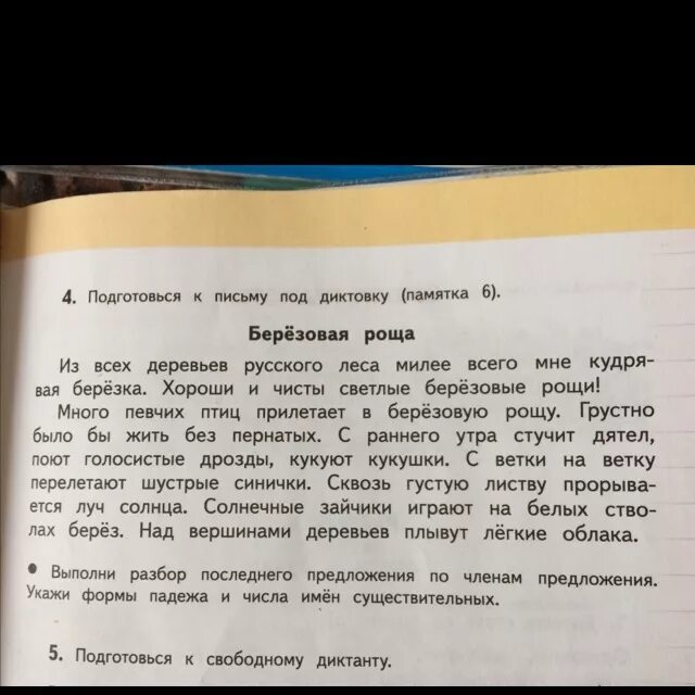 Ранним утром я иду в соседнюю рощу. Диктант в роще. Письмо под диктовку 3 класс. Диктант 4 класс. Диктант Березовая роща 4 класс.