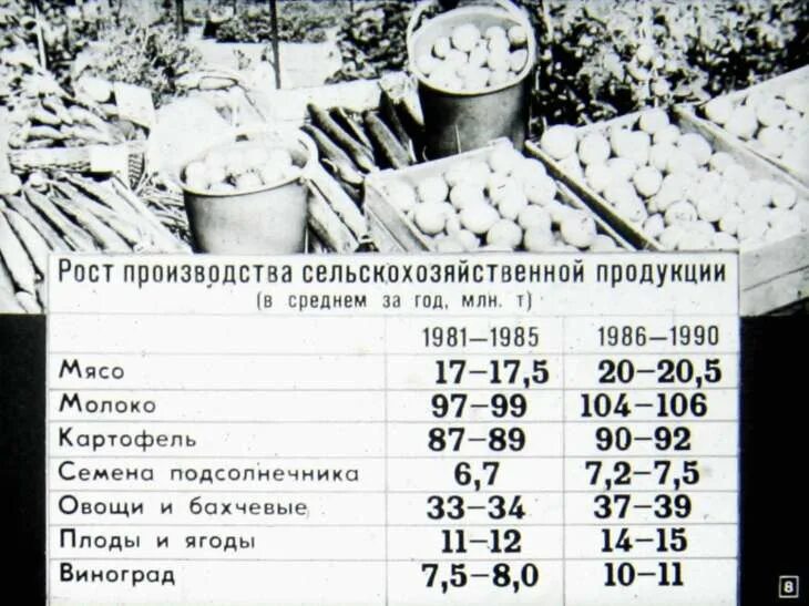 Продовольственная программа принята в каком году. Продовольственная программа ссср 1982. продовольственная программа ссср. продовольственная программа брежнева. продовольственная программа дело всенародное.