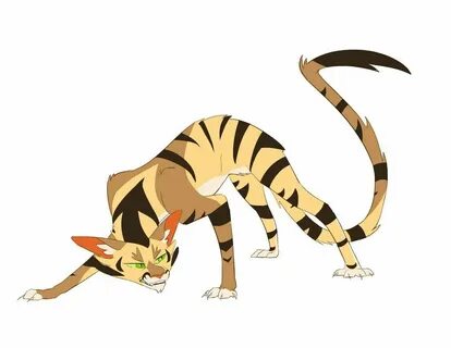 Коты воители долгохвост