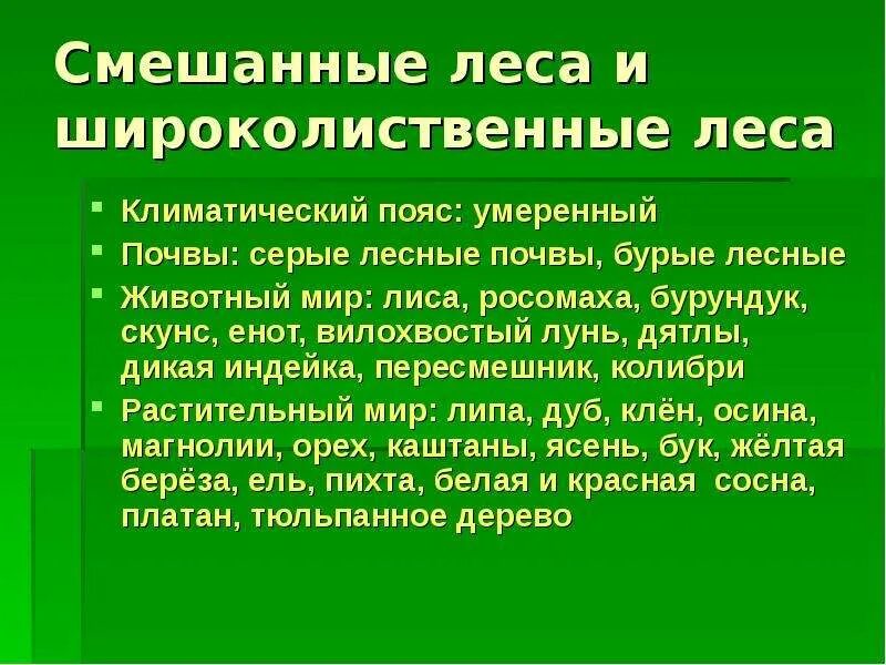 Изменение природы северной америки человеком сообщение. Смешанные и широколиственные леса климатический пояс. Климатический пояс широколиственных лесов. Климатический пояс смешанных и широколиственных лесов. Смешанные леса характеристика.