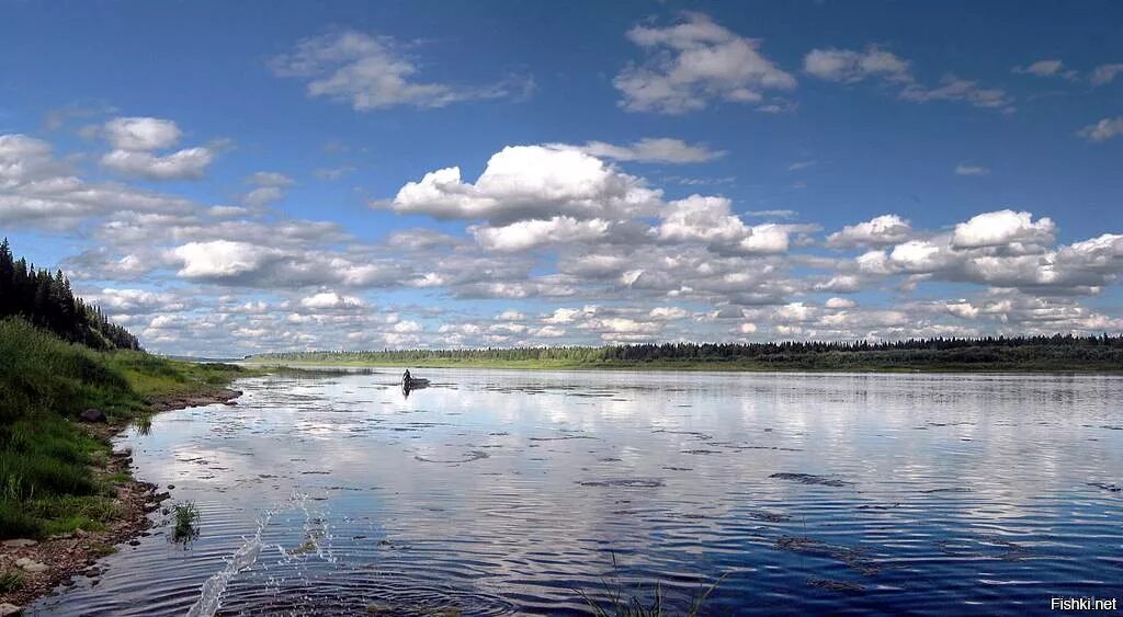 Река Печора Республика Коми. Печора (река) реки Республики Коми. Озеро Печора. Печора река в Троицко-Печорске. Воды рек коми