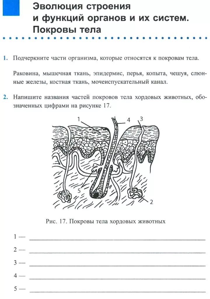 Контрольная работа по биологии покровы тела