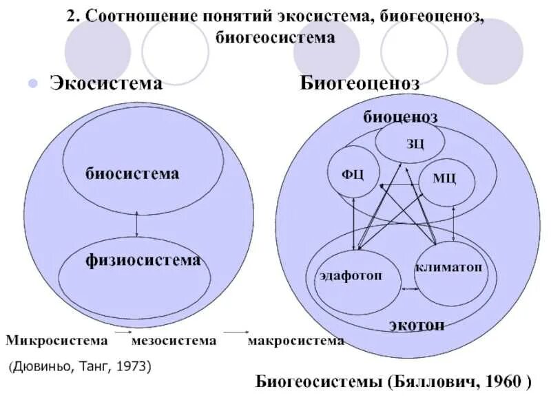 Соотнесите понятия экосистема биогеоценоз биоценоз биотоп. Биоценоз биотоп биогеоценоз различия. Биоценоз биогеоценоз экосистема разница. Структура биоценоза экосистемы. Сходство и различие биогеоценоза