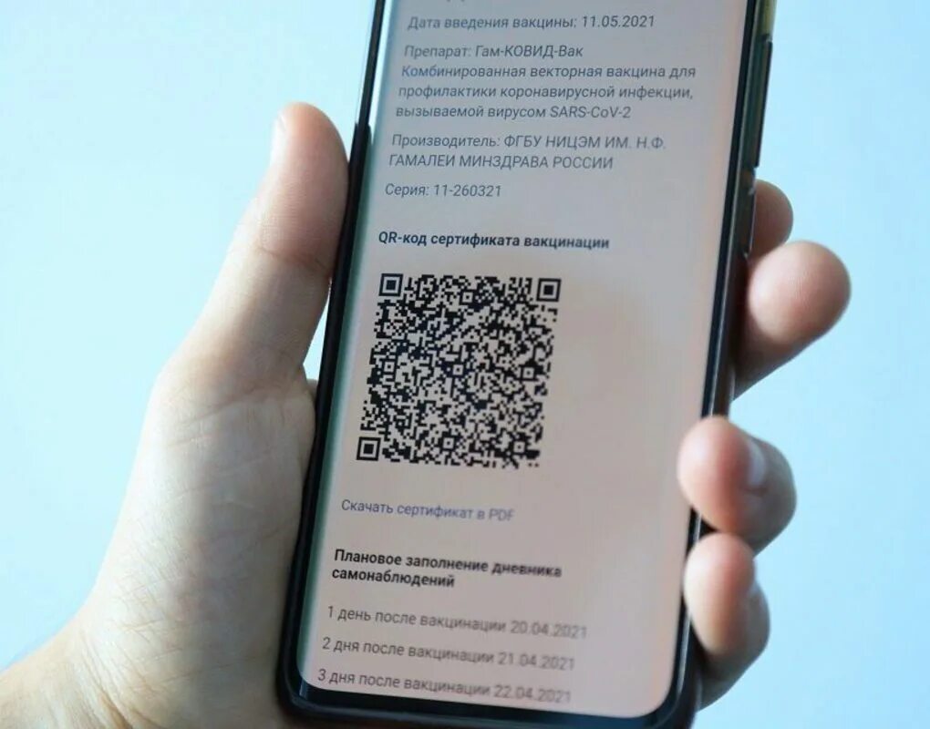 QR код. QR код о вакцинации. Сертификат с QR кодом. Смартфон QR код. Куар код рф