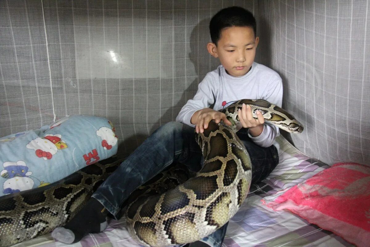 Ребенок держит змею. Малыш змеи. Дети со змеями.