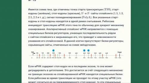 1 точка старт. Стоп старт кодон схема. Точка старта транскрипции. Старт кодон транскрипции. Где Гена.