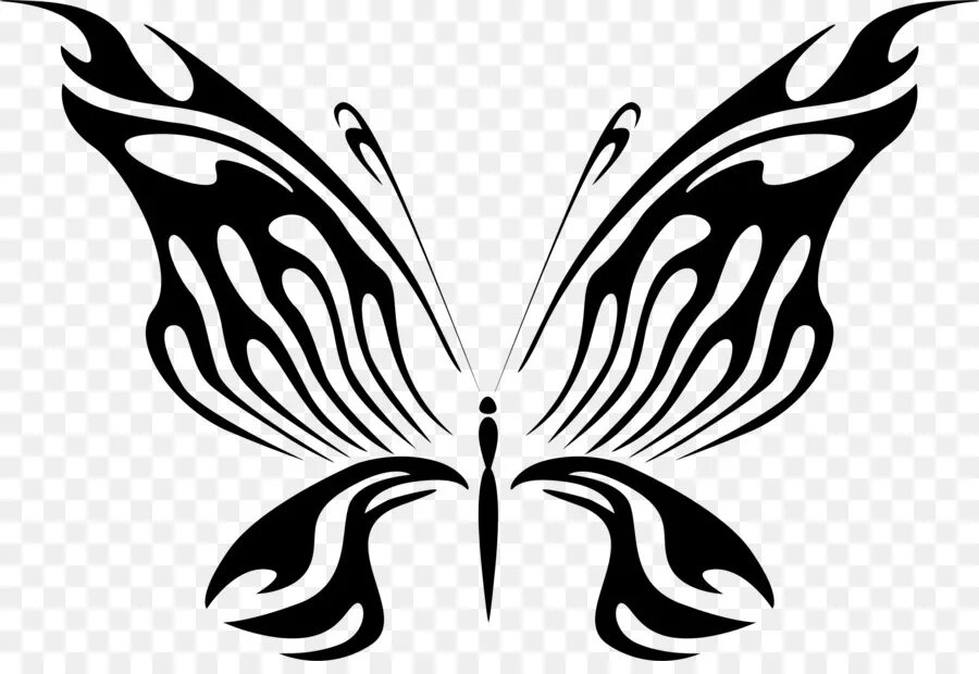 Силуэт бабочки. Бабочка рисунок. Векторные бабочки. Бабочка черно белая.