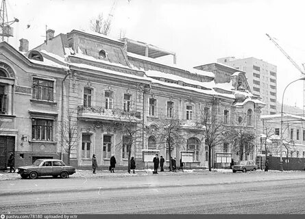41 вид