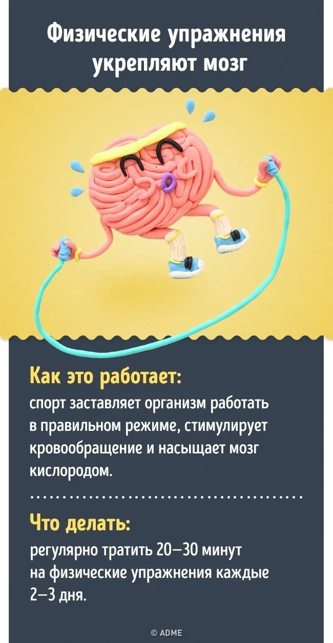 Как стимулировать мозг. Тренировка мозга. Как улучшить работу мозга. Упражнения для активности мозга. Работа мозга.