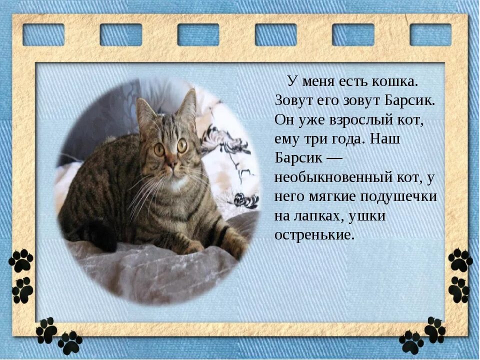 Кошка 1 часть. Рассказ про кота. Сочинение про кота. Сочинение про домашних животных. Написать про кошку.