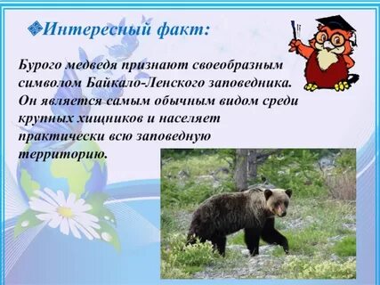 Интересные факты о заповедниках