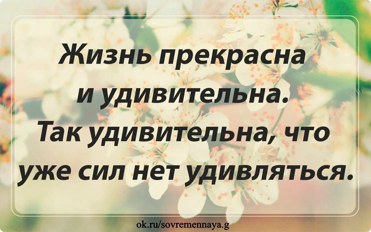 Красивые статусы про жизнь. Статусы для ватсапа. Высказывания для статуса. Красивые слова в статус в ватсап. Слова для вацапа