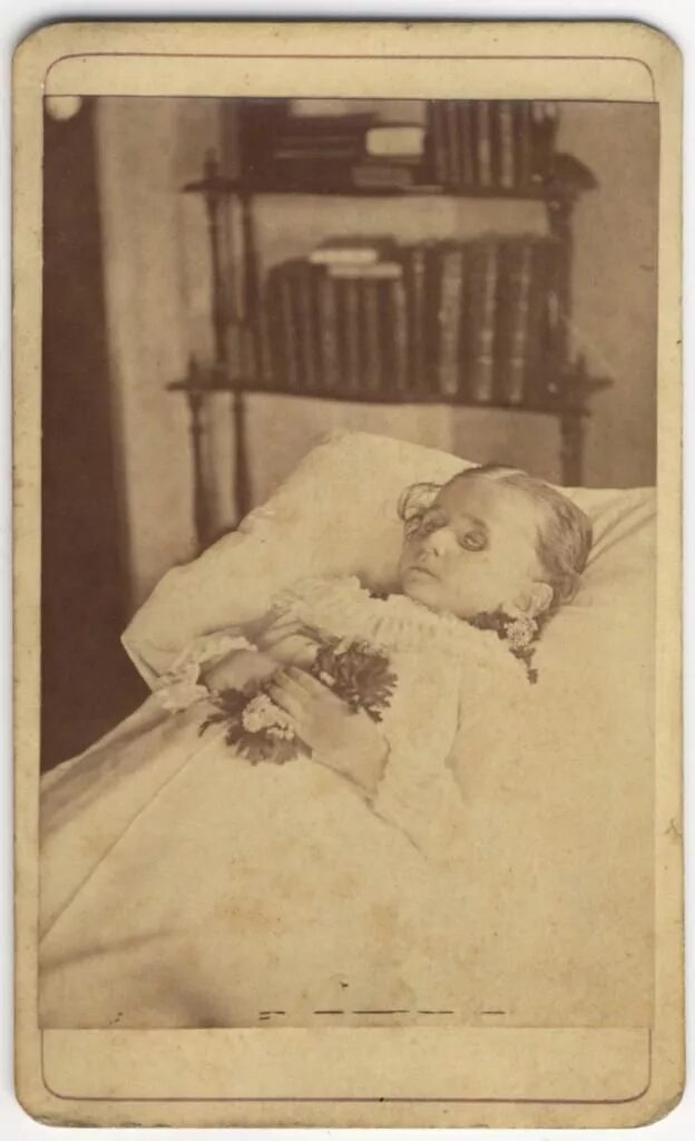 Пост мортем отзывы. Джулия маргарет пост мортем. Пост мортем отзывы. Джейн мэнсфилд пост мортем. Джулия маргарет пост мортем.