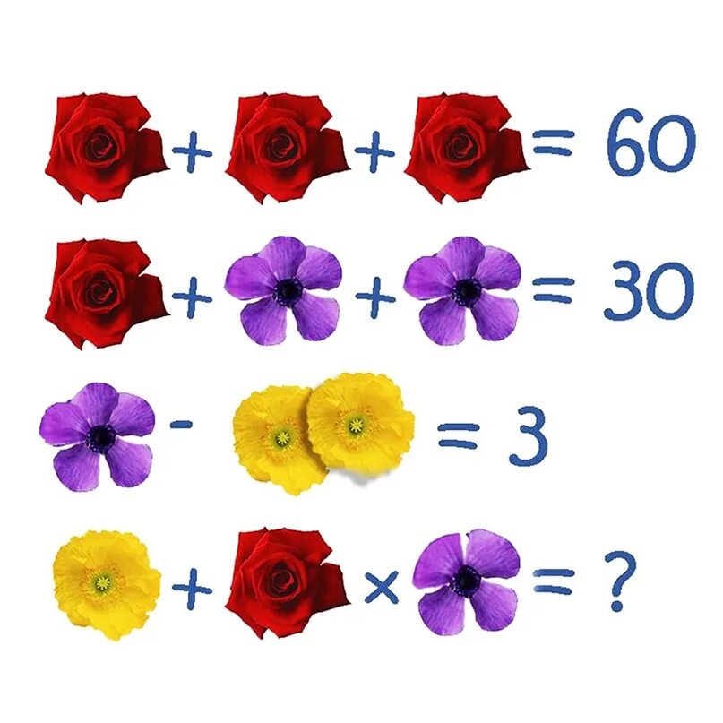 Головоломка растение. Задачка с цветочками. Математические цветочки. Головоломка с цветами. Задачки с цветами.